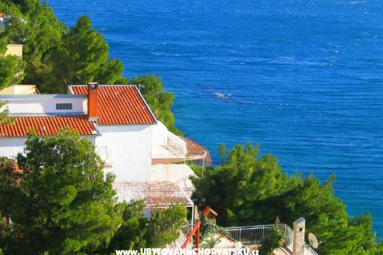 Villa Jadranka – фото 2