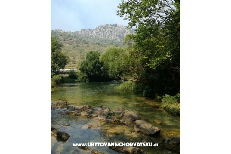 Villa Musini Dvori – фото 12