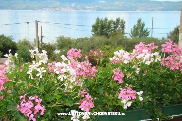 Villa Sunce – фото 14