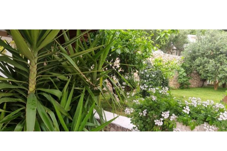 Villa Sunce – фото 15
