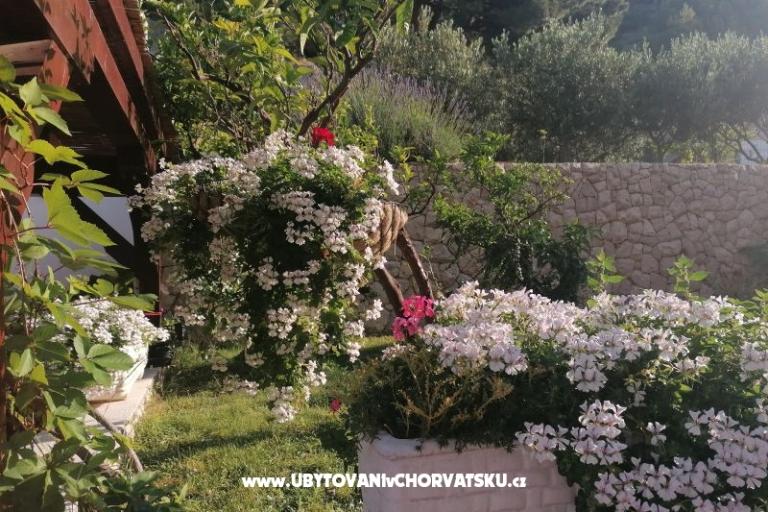 Villa Sunce – фото 18