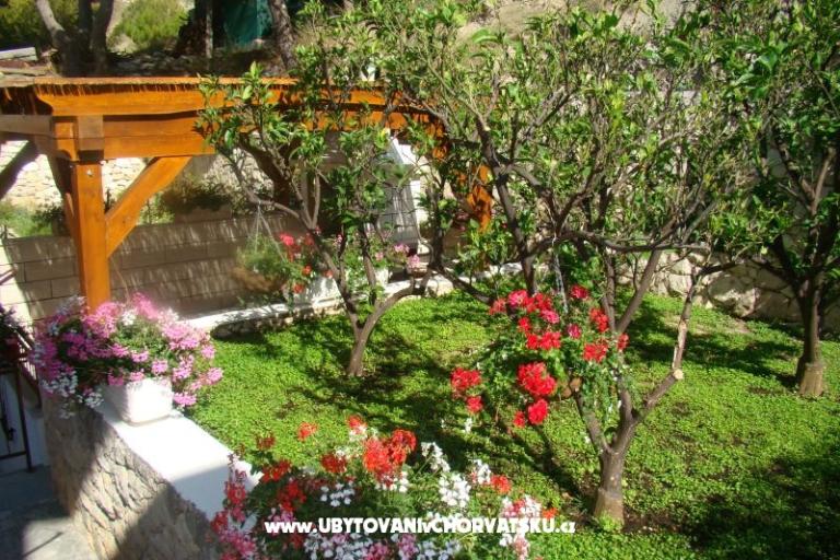 Villa Sunce – фото 2