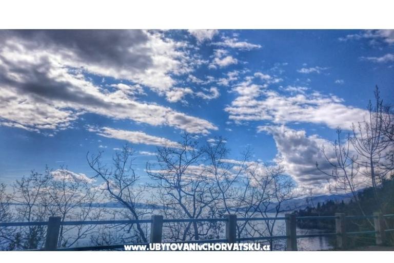 Garden of Pleasure – фото 16