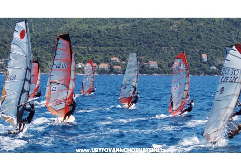 Pelješac апартаменты -Orsula  – фото 12