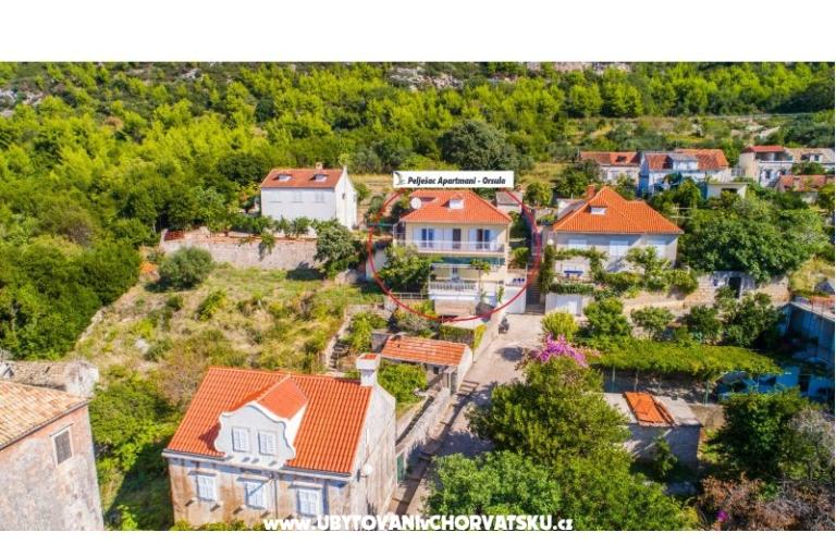 Pelješac апартаменты -Orsula  – фото 4