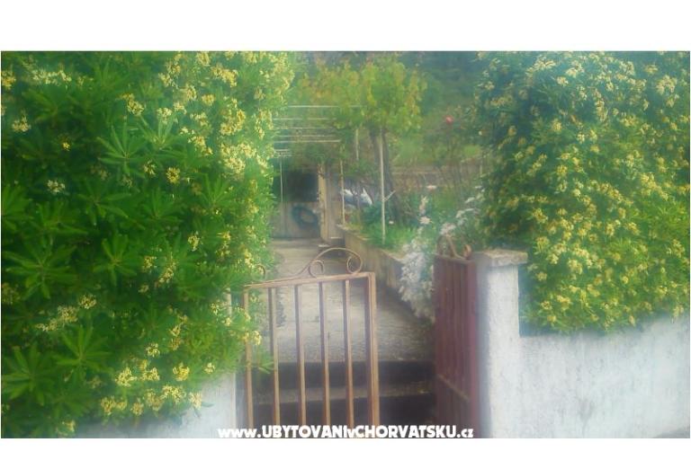 Vila Smokvica – фото 8