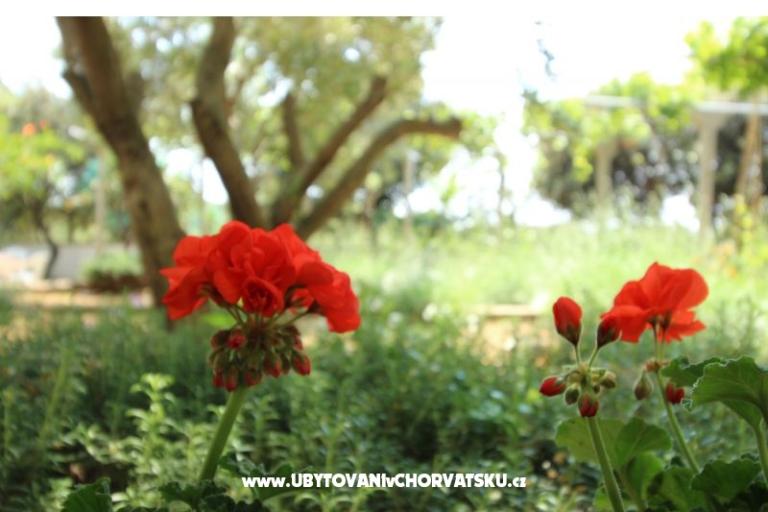 апартаменты Salvia islи Pag Mиre – фото 11
