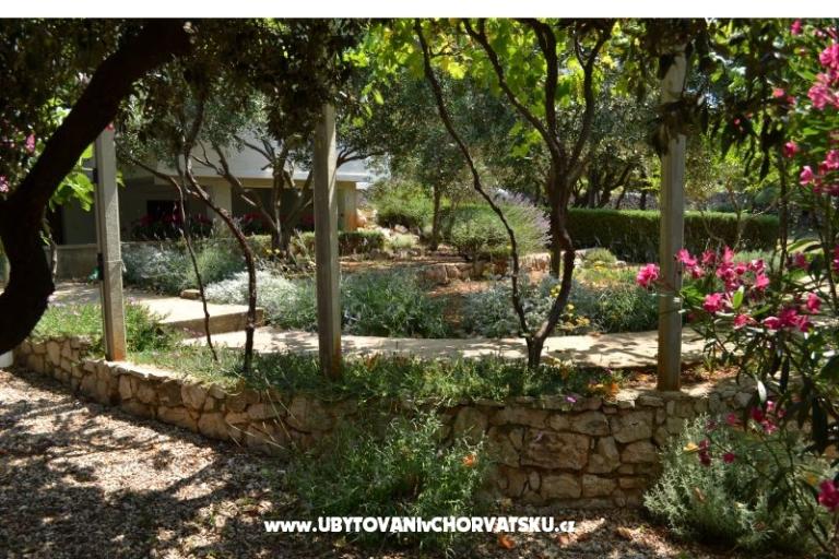 апартаменты Salvia islи Pag Mиre – фото 15