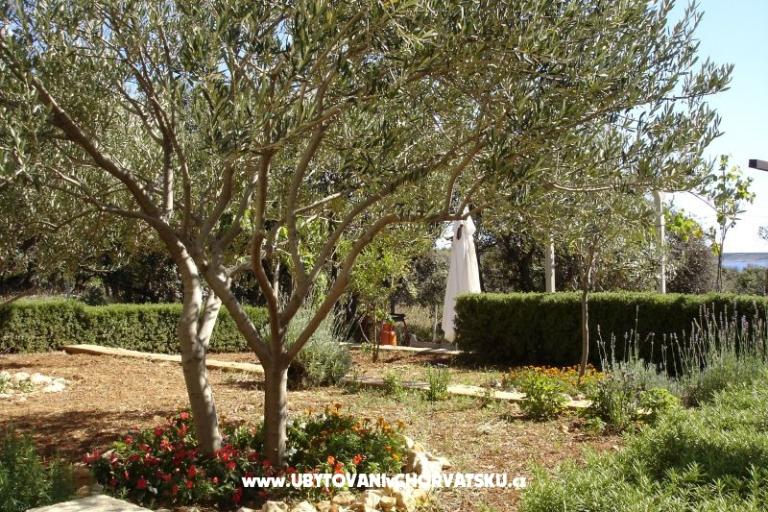 апартаменты Salvia islи Pag Mиre – фото 18