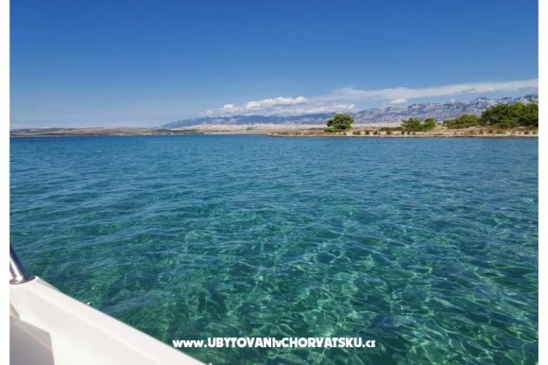 Villa Lilly (apartmani) – фото 12