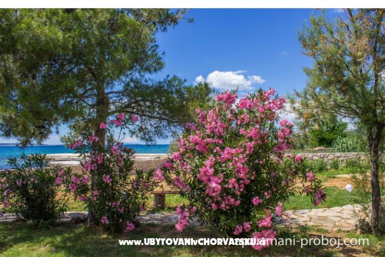 апартаменты Proboj – фото 16