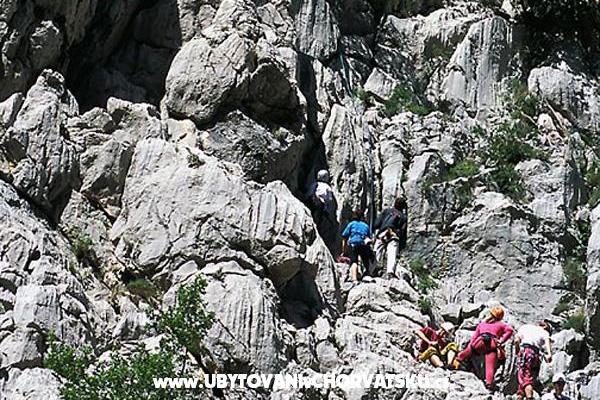 апартаменты Vitrenik – фото 7