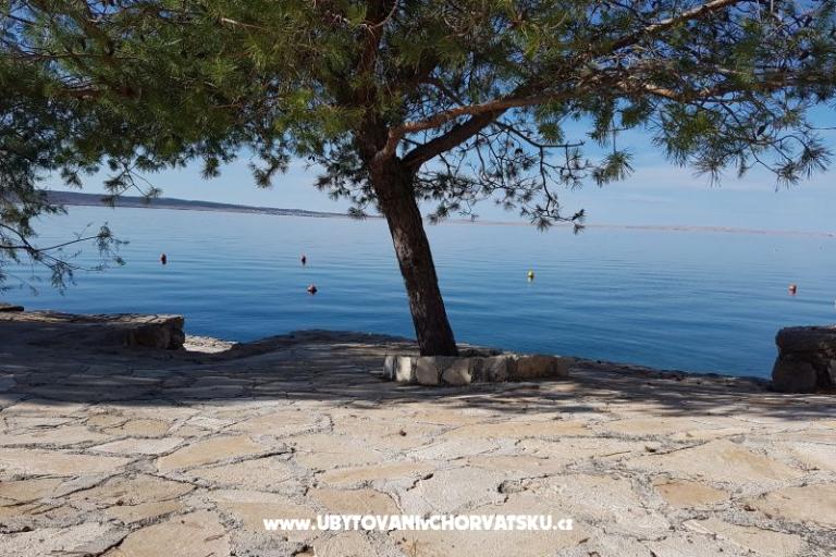 апартаменты Bosi i Goli – фото 15
