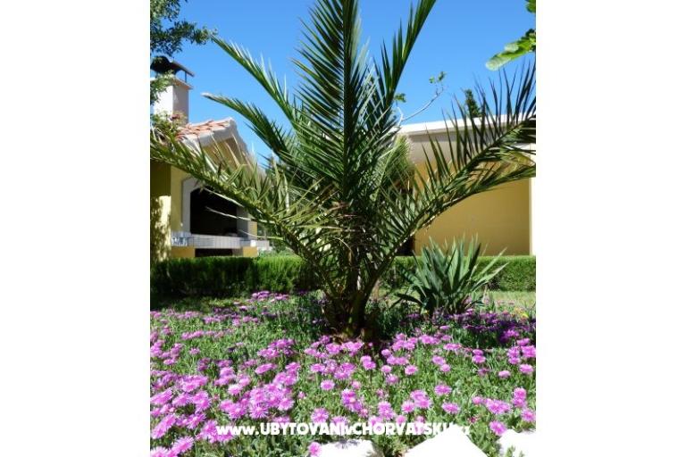 Vila Ana – фото 14