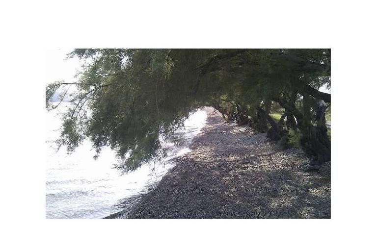 Vila Seline – фото 8