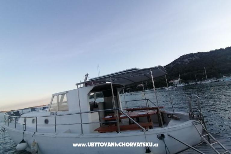 Tourist boat - Robinson Tourism – фото 2