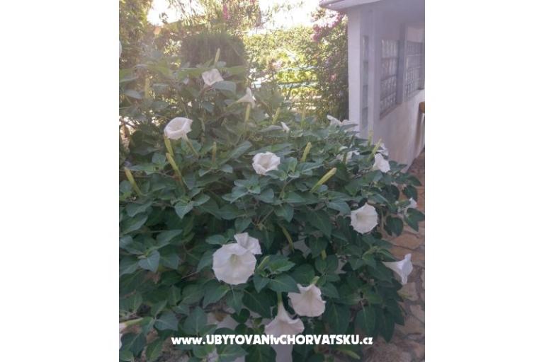 апартаменты Marija-Tkon – фото 6