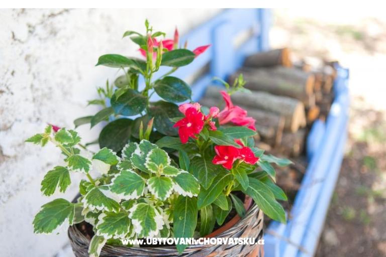 апартаменты Maris – фото 7