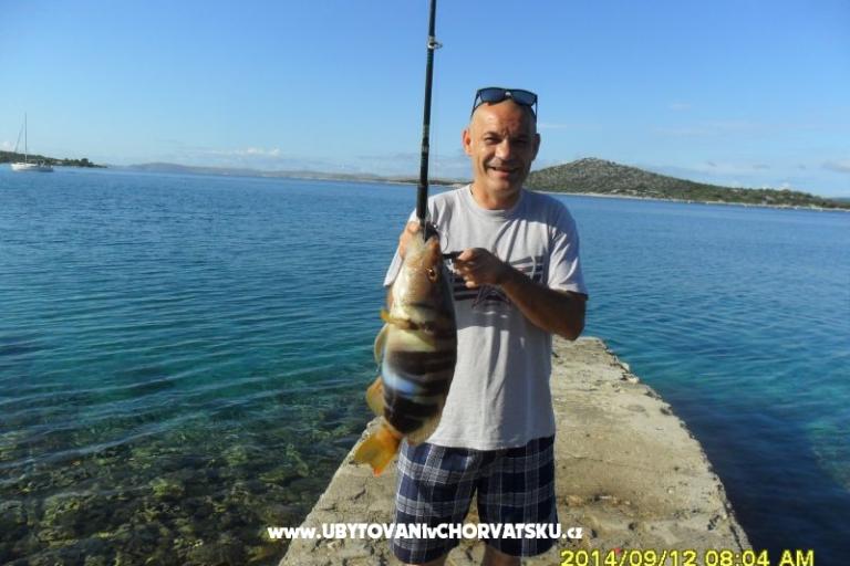 Robinzon Lanterna – фото 15