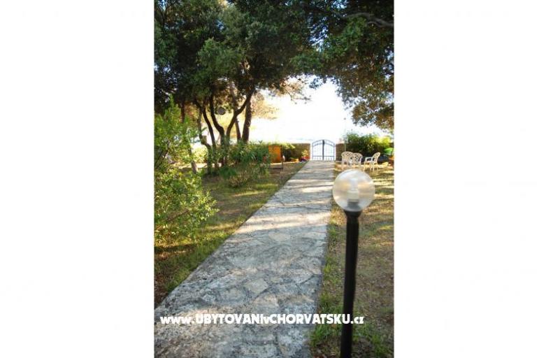 Vila Emila – фото 3