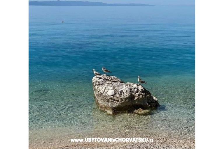 Villa Stefa Pirovac  – фото 10