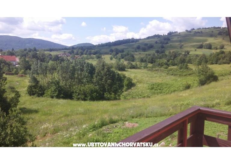 Blazenka Hodak – фото 15