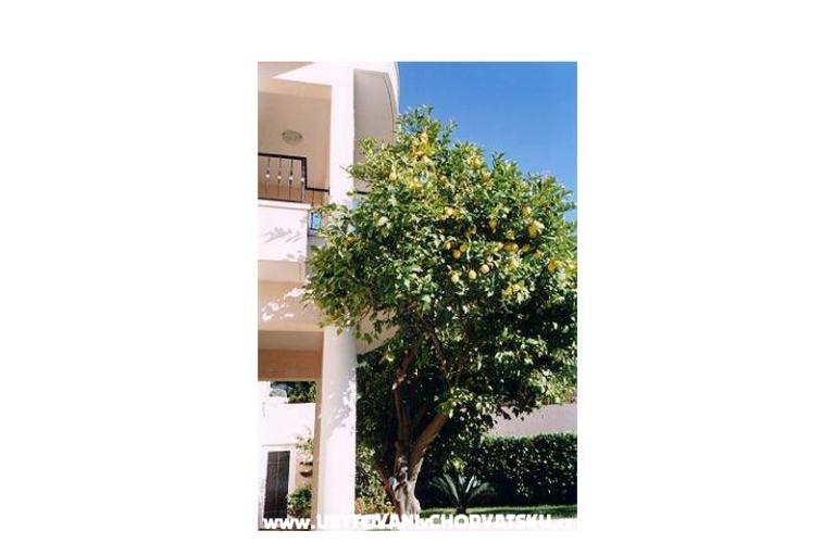 Villa Mozart – фото 17