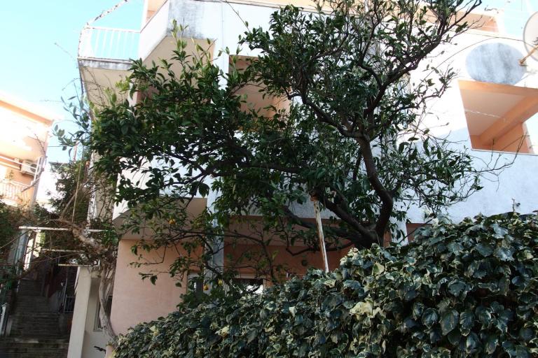 Olga apartmani – фото 3
