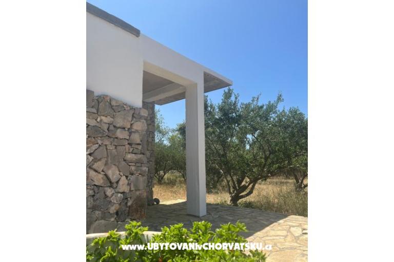 Olive grove – фото 11