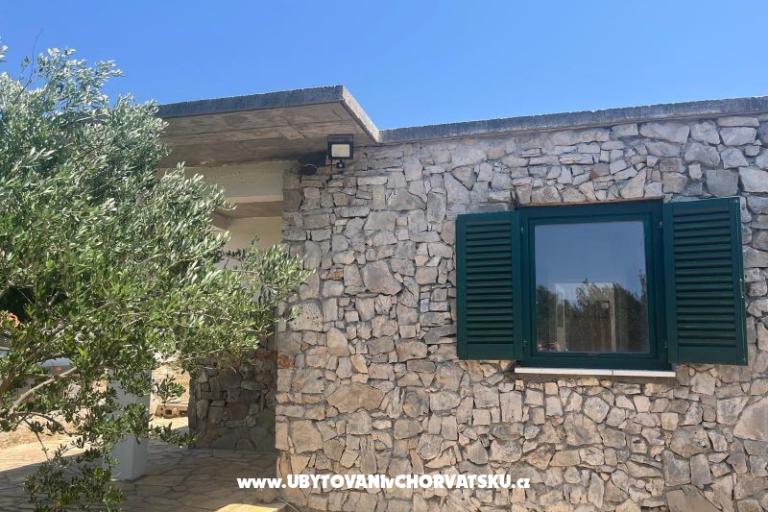 Olive grove – фото 2