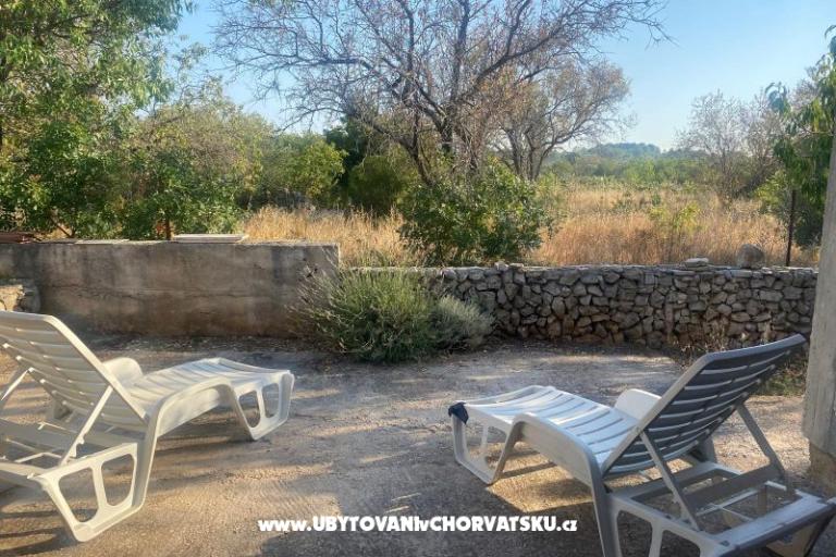 Olive grove – фото 6