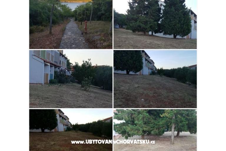 апартаменты Duga Uvala – фото 12
