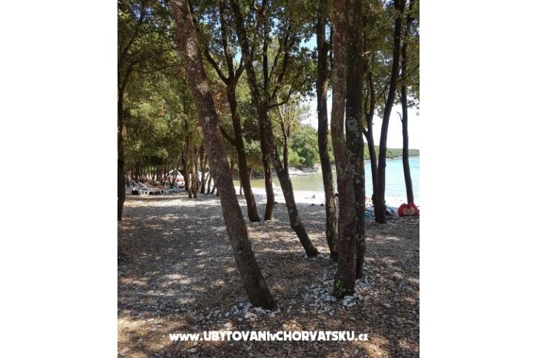 апартаменты Duga Uvala – фото 15