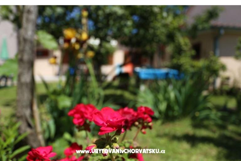 Štinjan apartmani Elda – фото 15