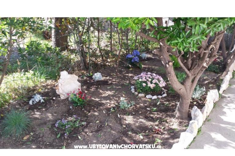Arba – фото 6