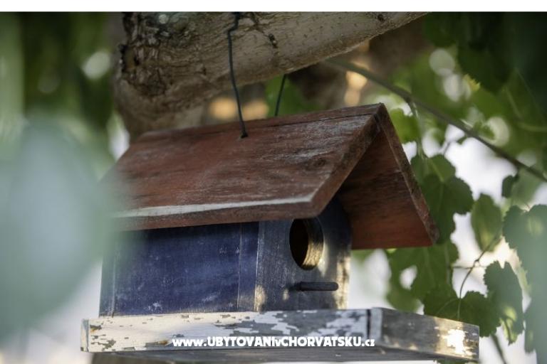 APARTMANI DEBELIĆ – фото 10