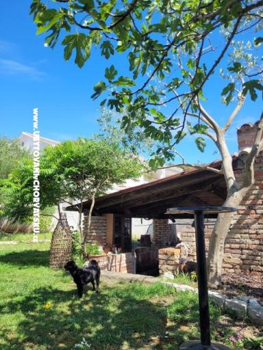 Villa Marija – фото 10