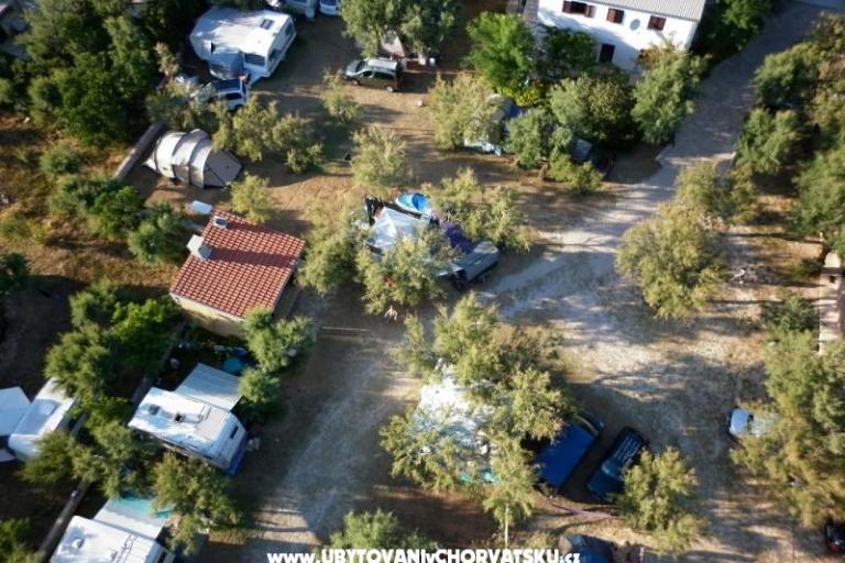 CAMP PUNTICA – фото 3