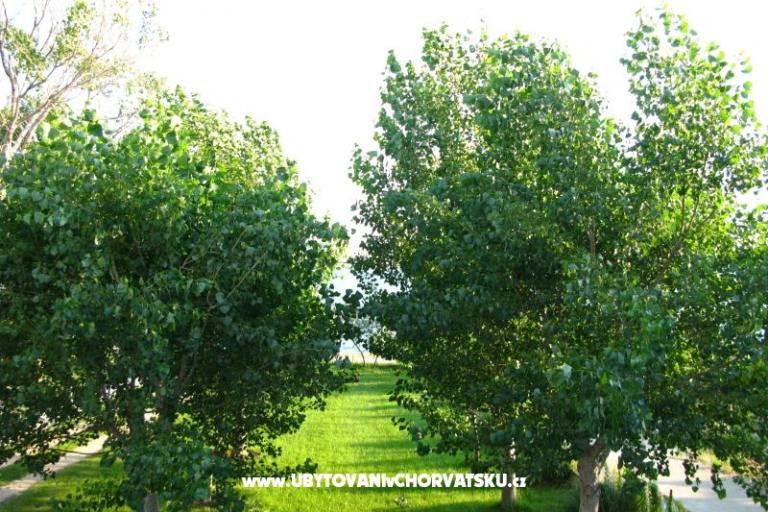 Villa Bibinka Ljubač – фото 12