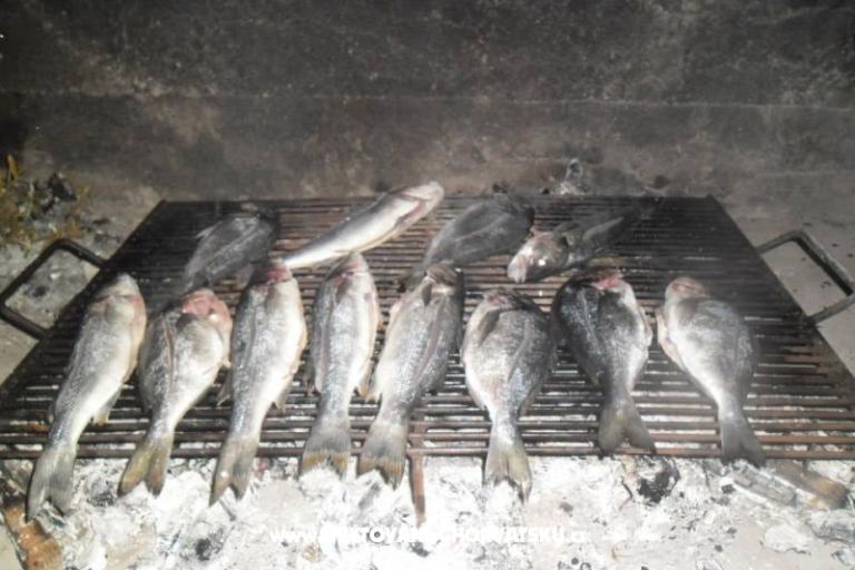 Vila Patria – фото 17