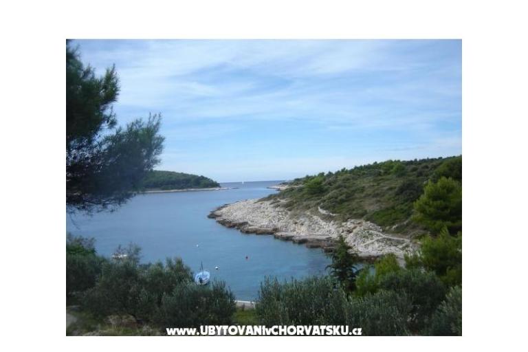 апартамент VITO Stara Draga – фото 15