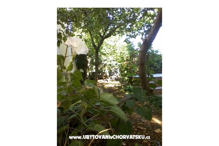 Ružica apartments Rogoznica – фото 11