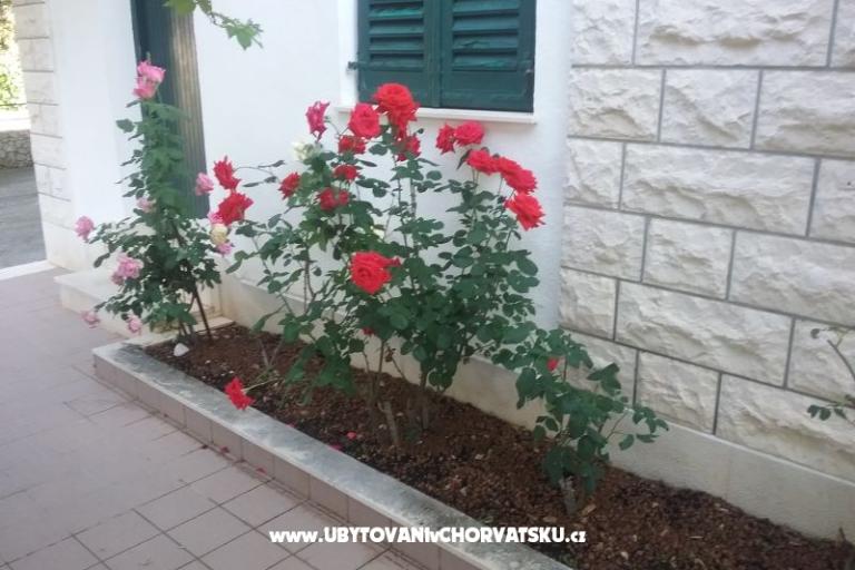 Santa Chiara апартаменты – фото 12