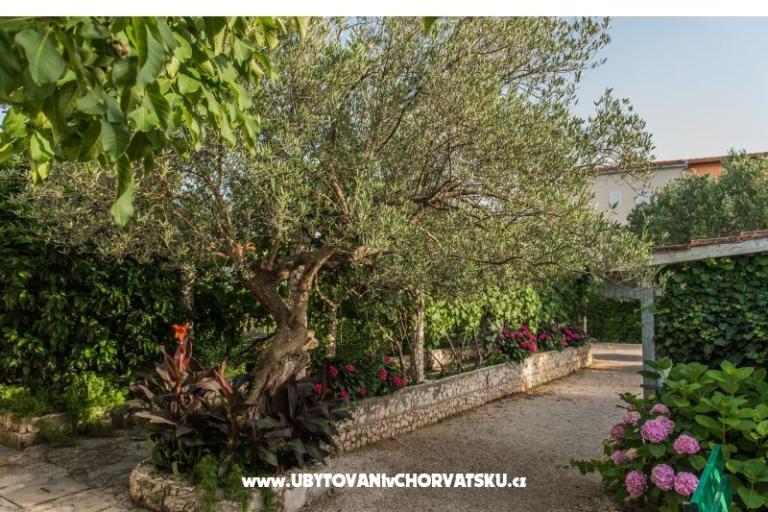 Villa Perla – фото 10