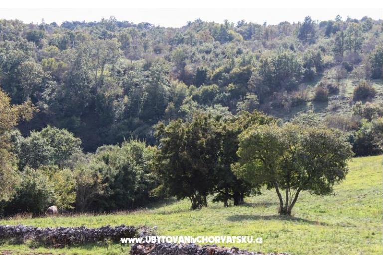 Arton Vila – фото 18