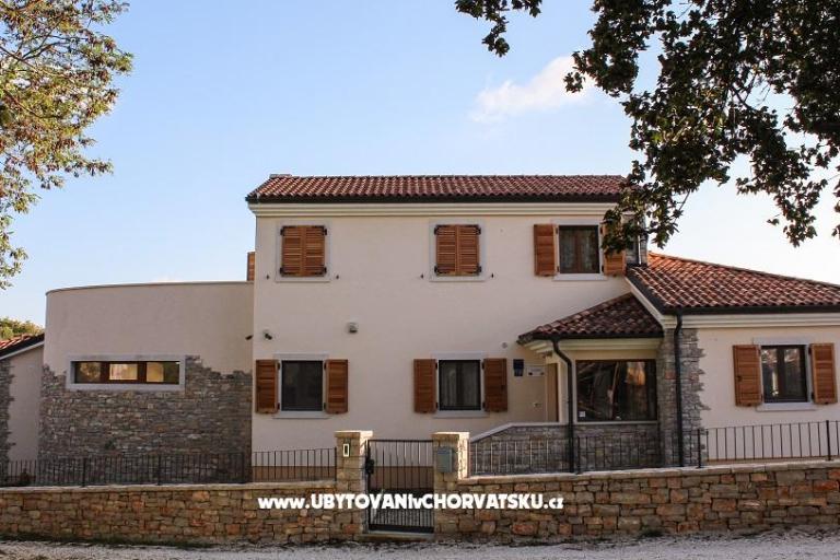 Arton Vila – фото 8