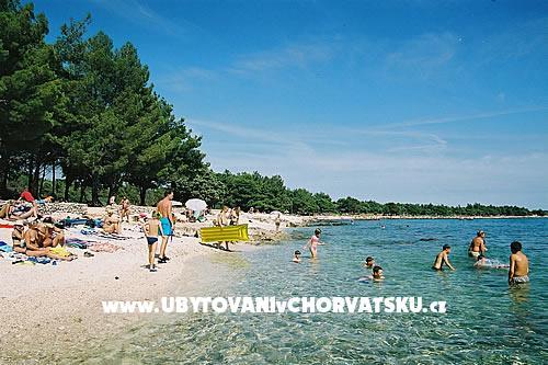 Family дом Ivancevic – фото 5