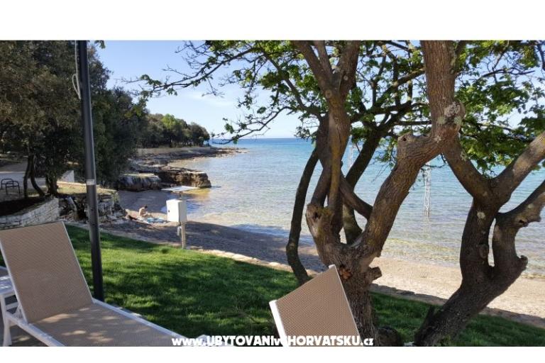 Holiday Istria stone house - app. – фото 6