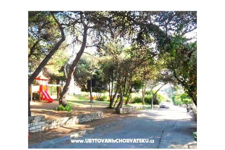 GREEN GARDEN & BUENA VISTA  – фото 8