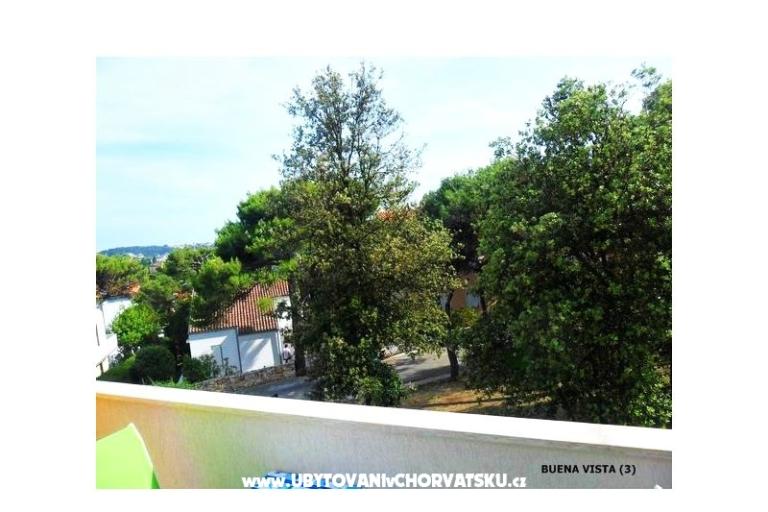GREEN GARDEN & BUENA VISTA  – фото 9